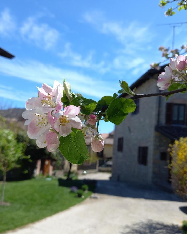 La Pomella Villa Ponte Nizza Eksteriør bilde