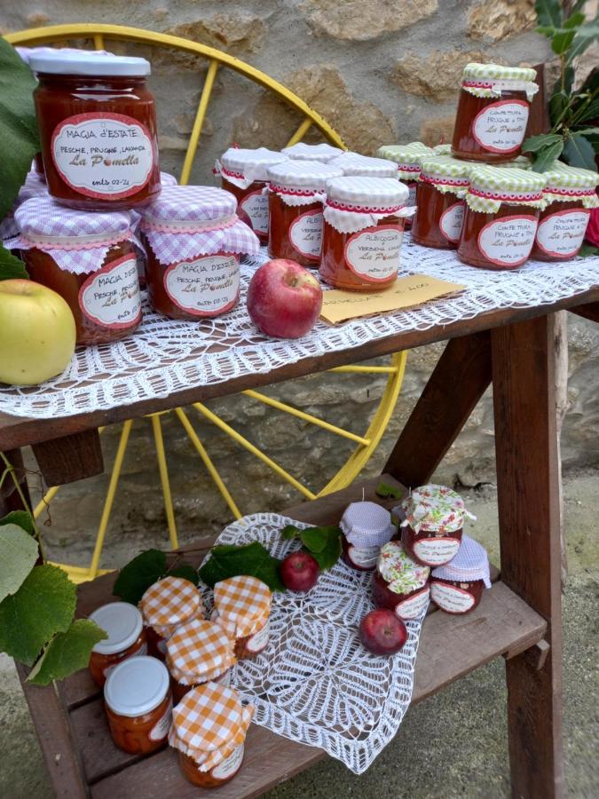 La Pomella Villa Ponte Nizza Eksteriør bilde